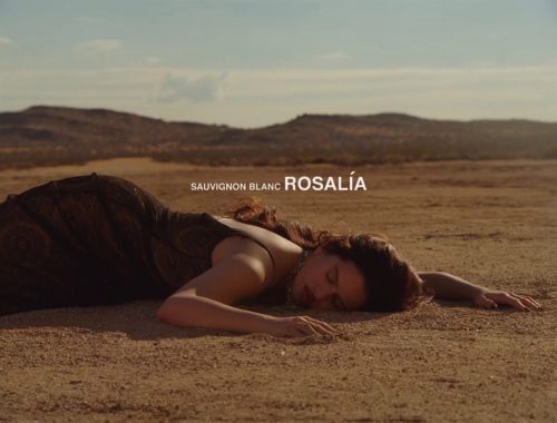Rosalía en el videoclip de "Sauvignon Blanc" de LUX, luciendo un vestido vintage de John Galliano y un choker de perlas de Dior en el desierto.