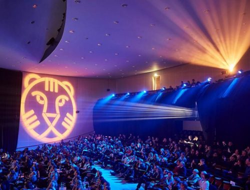 películas del festival de Rotterdam 2026